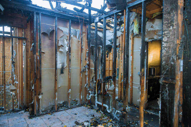 Professional Smoke Damage Removal technician working in Falls Church, VA